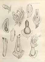  no thumbnail available