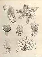  no thumbnail available