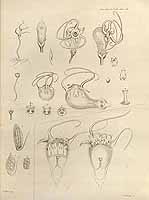  no thumbnail available