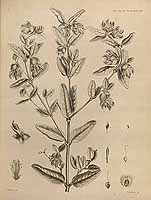  no thumbnail available