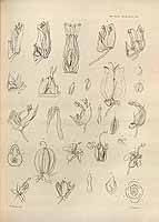  no thumbnail available