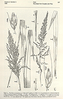  no thumbnail available