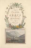  no thumbnail available