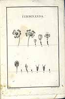  no thumbnail available