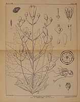  no thumbnail available