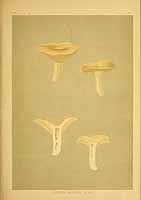  no thumbnail available