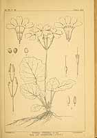  no thumbnail available