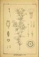  no thumbnail available