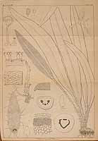  no thumbnail available