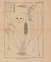  no thumbnail available