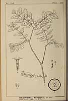  no thumbnail available