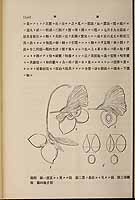  no thumbnail available