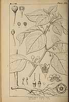  no thumbnail available