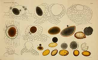  no thumbnail available