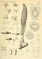  no thumbnail available