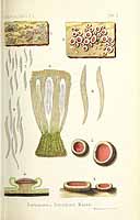  no thumbnail available