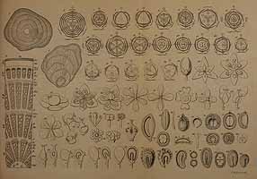  no thumbnail available