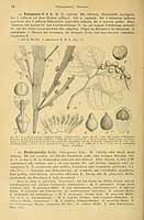  no thumbnail available