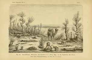  no thumbnail available