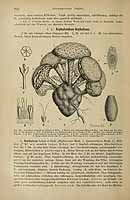  no thumbnail available