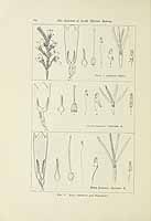  no thumbnail available