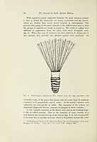  no thumbnail available