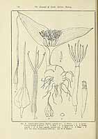  no thumbnail available