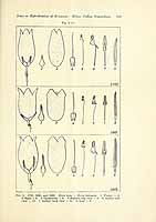  no thumbnail available