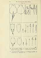  no thumbnail available