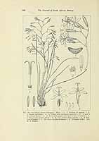  no thumbnail available