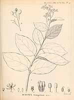  no thumbnail available