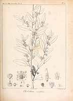  no thumbnail available