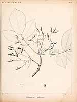  no thumbnail available