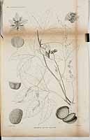  no thumbnail available