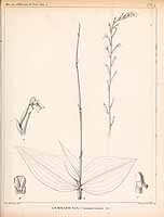  no thumbnail available