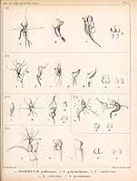  no thumbnail available