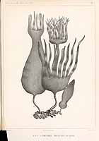  no thumbnail available