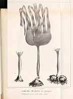  no thumbnail available