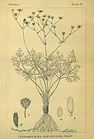  no thumbnail available