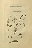  no thumbnail available