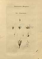  no thumbnail available