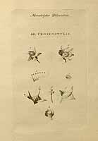  no thumbnail available