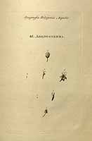  no thumbnail available