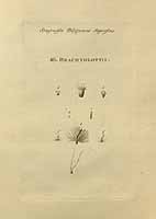  no thumbnail available