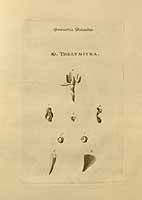  no thumbnail available