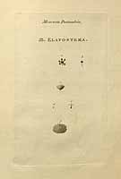  no thumbnail available