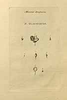  no thumbnail available