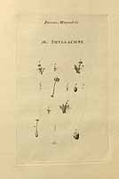  no thumbnail available