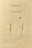  no thumbnail available