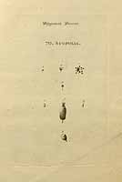  no thumbnail available